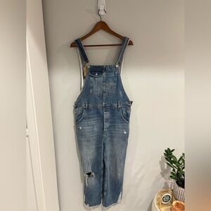 We The Free Blue Denim Overalls